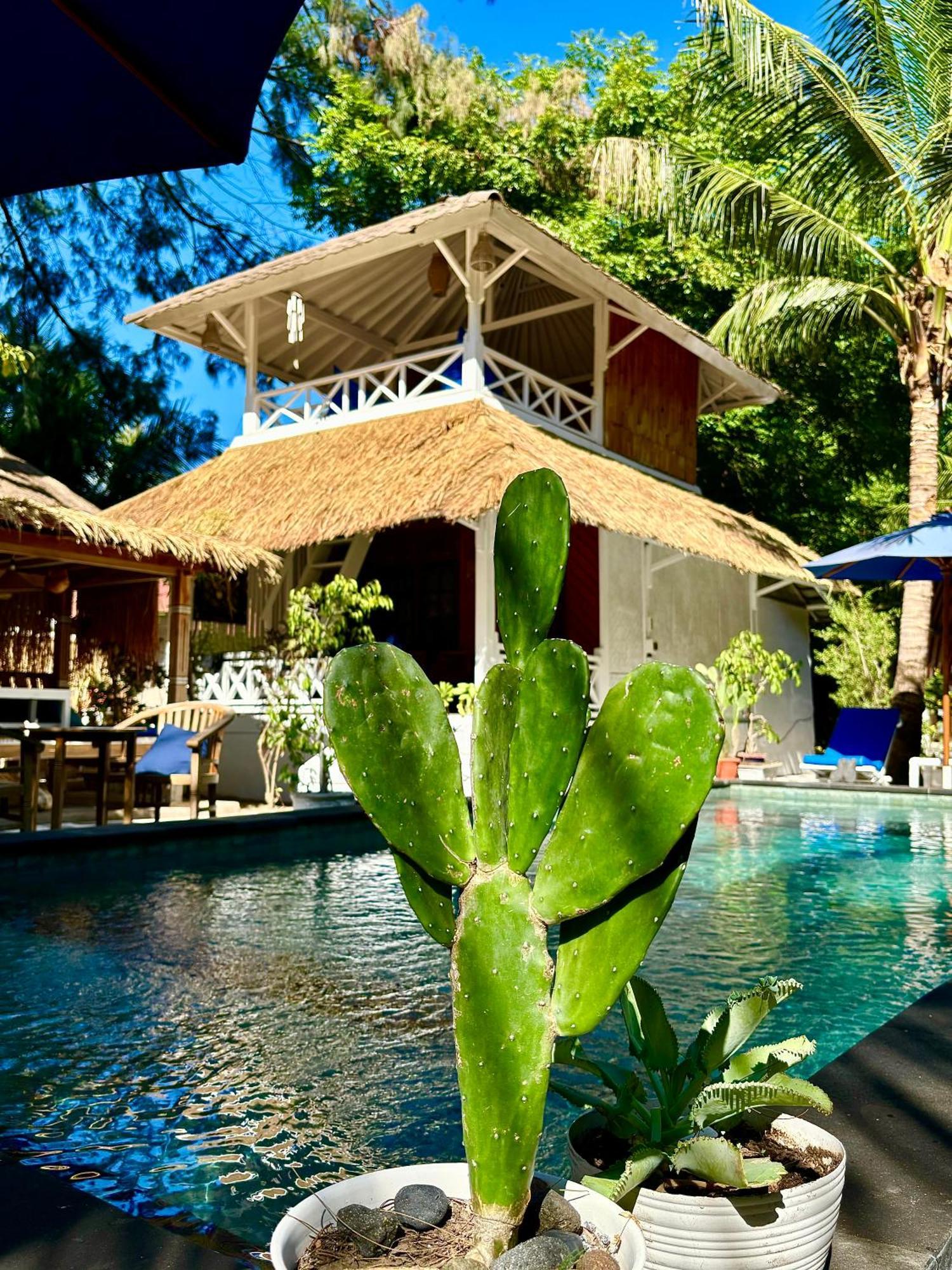 Alibaba Bungalows Гили-Эйр Экстерьер фото