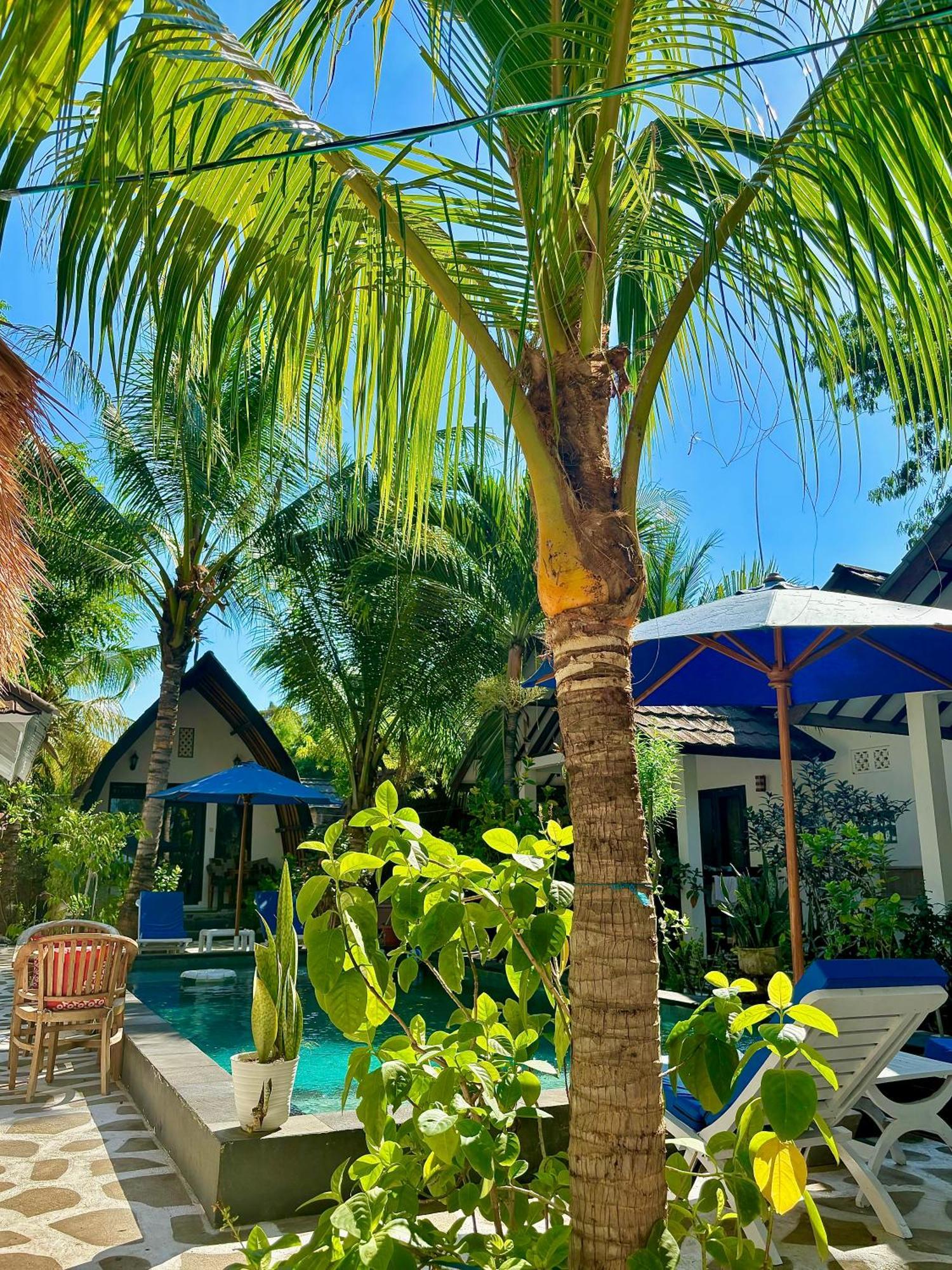Alibaba Bungalows Гили-Эйр Экстерьер фото